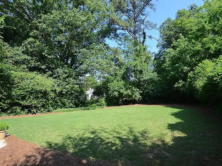 Backyard 2