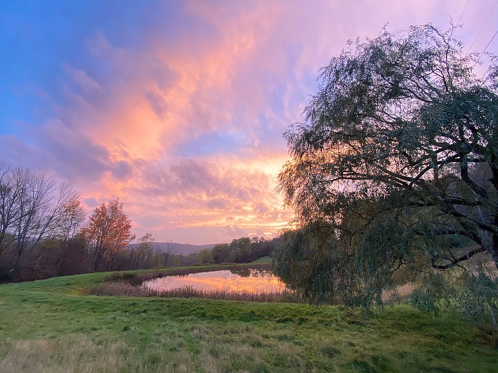 966 Fry Rd, Sabinsville, PA 16943 Zillow