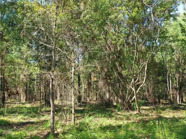 LOT 4A Johnson Rd, Atmore, AL 36502