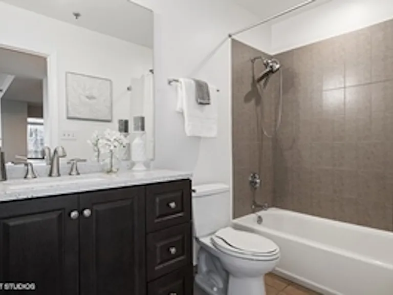1250 S Michigan Ave #2506 — Photo 11