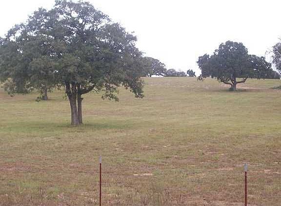 4th image of 65 Acres Fm #112