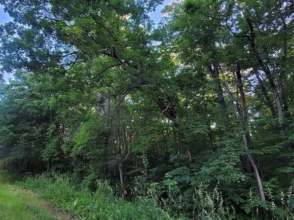 000 US Highway 12 Lot 4, Merrillan, WI 54754
