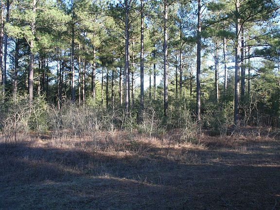 5th image of 24 Hse Ocmulgee Banks Way