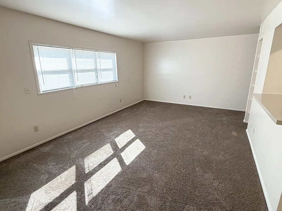 1417 Northside Blvd #312