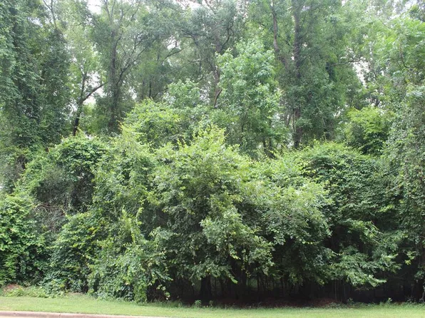 304 Ironhorse Ct, Albany, GA 31721