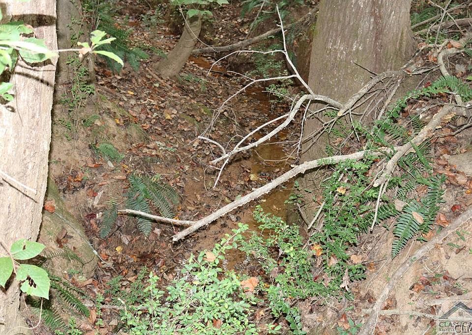 1st image of 12.52 Cedar Lane