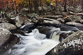 Trout Fishing @ Front Door!