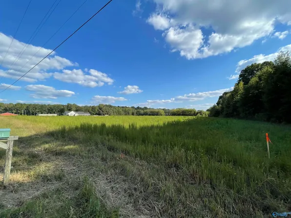 LOT 4 New Garden Rd, Elkmont, AL 35620