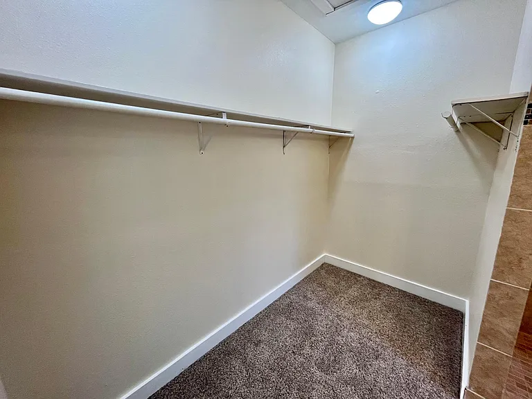 711 N Palmetto — Photo 15
