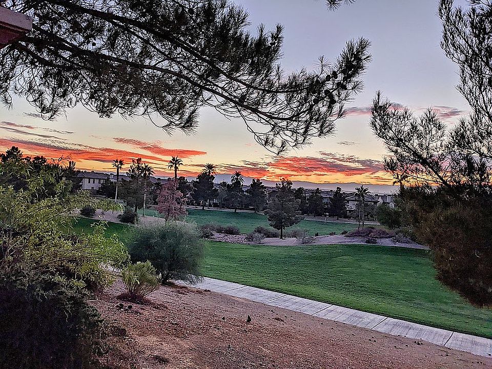 Backyard view