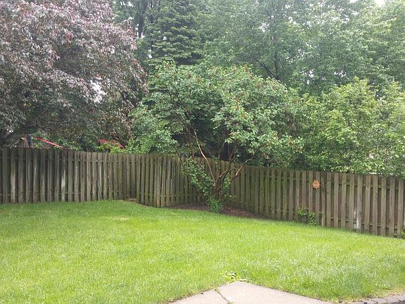 Fenced Backyard