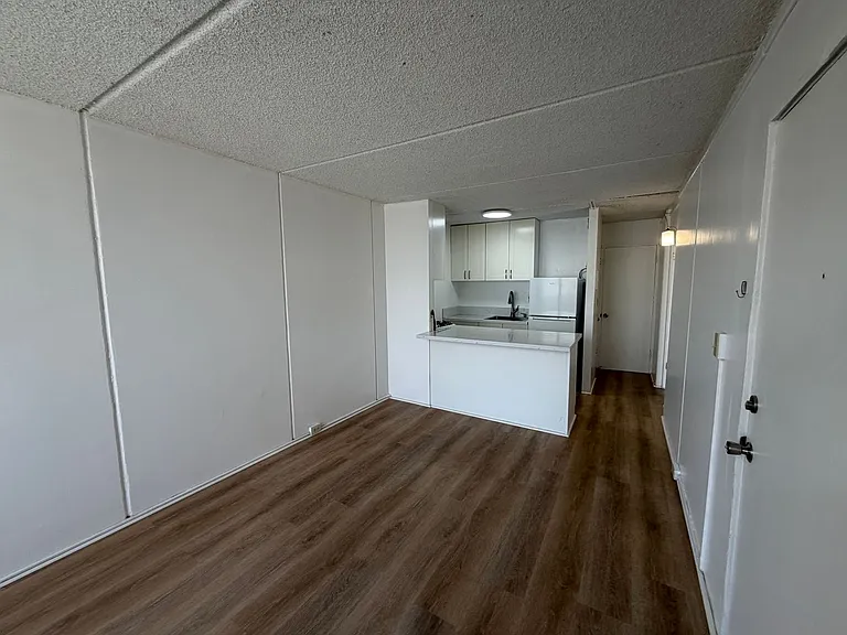 1315 Heulu St — Photo 1