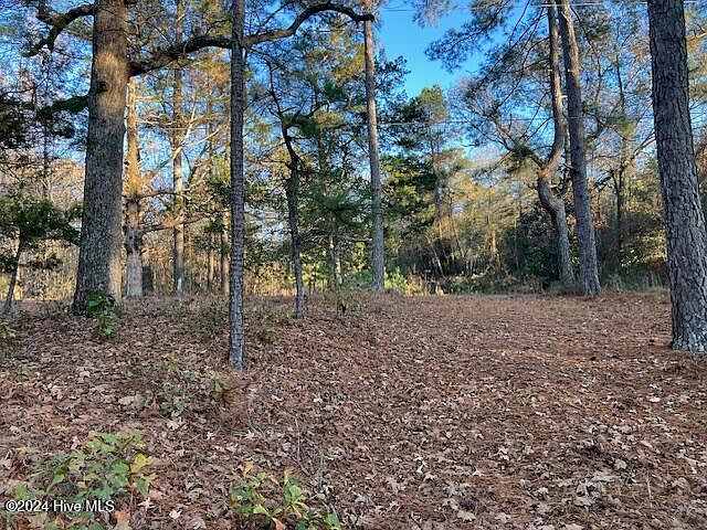 2nd image of 15181 Elmore Road LOT 9