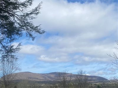 42 Prospect St, Tannersville, NY, 12485