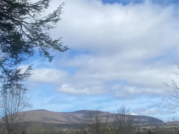 42 Prospect St, Tannersville, NY 12485