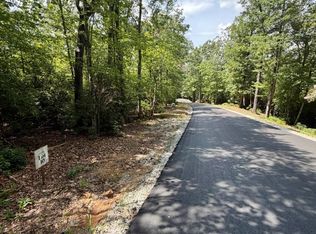10 S Sapphire Rdg, Blue Ridge, GA 30513