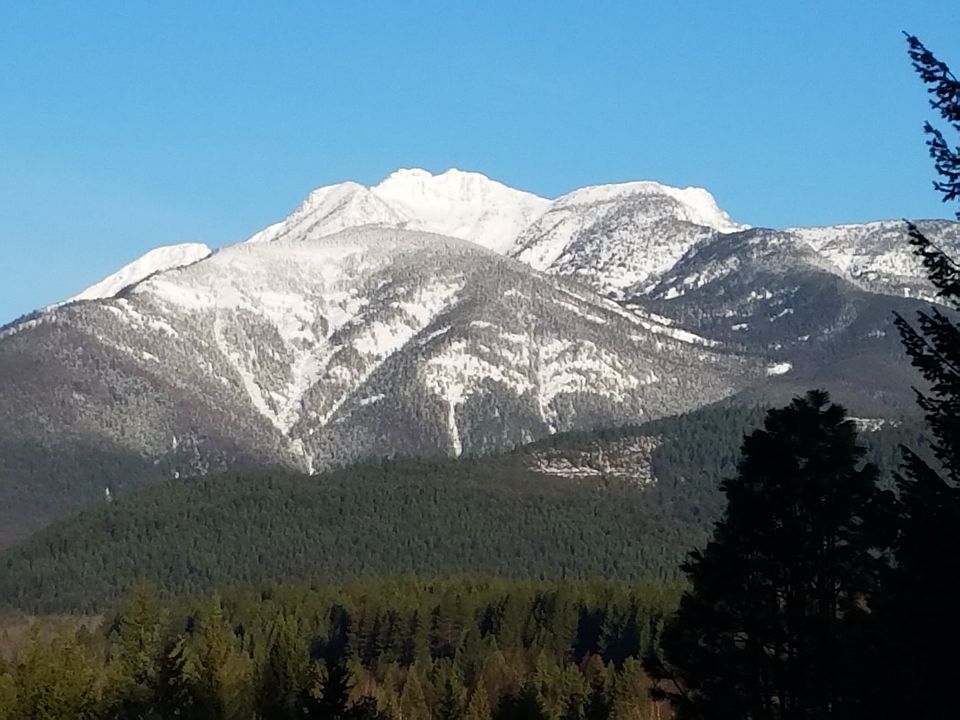 View from from living room 