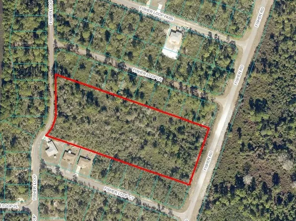 Fisher Rd, Ocklawaha, FL 32179