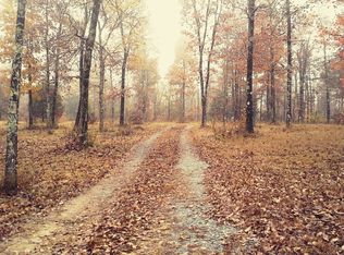 749 Gunner Dr, Leslie, AR 72645