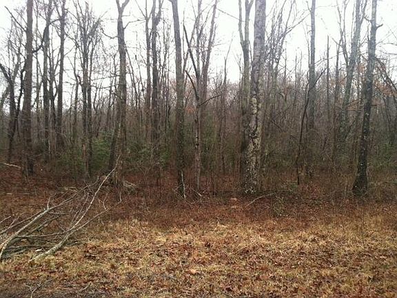 4th image of 53 Ponderosa Ln