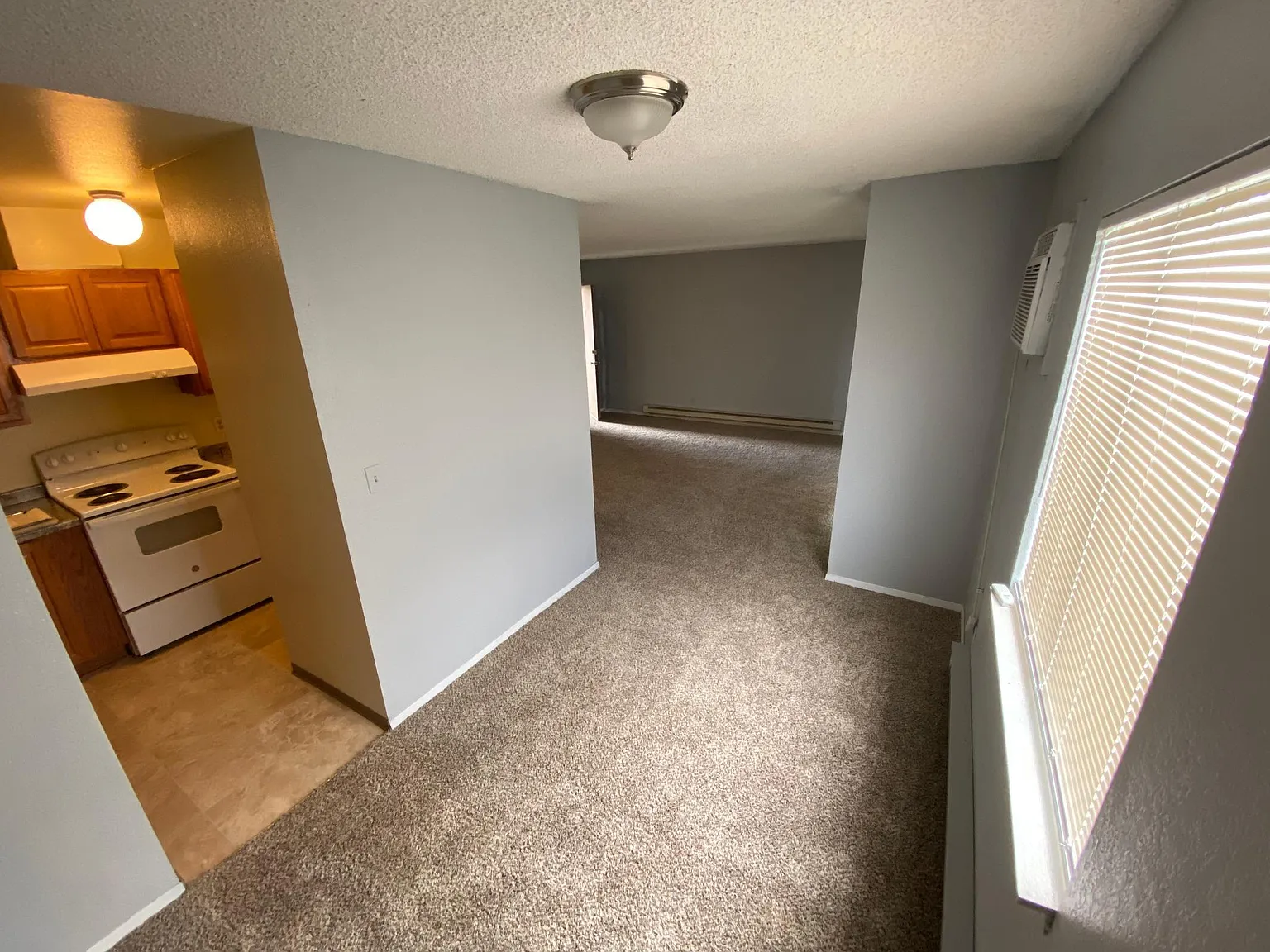 825 Alexander Ct — Photo 4