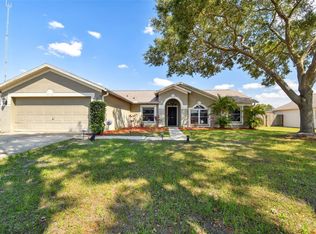 10528 Salisbury St, Riverview, FL 33569