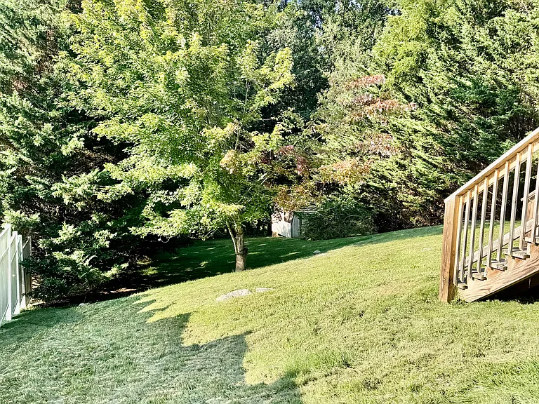 210 White Pine Dr — Photo 26