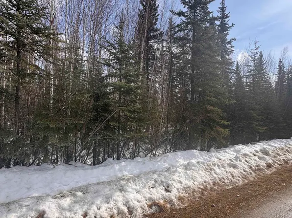 Nhn Capricorn St, Fairbanks, AK 99712