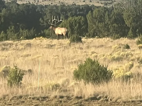 1251 York Ranch Rd, Pie Town, NM 87827