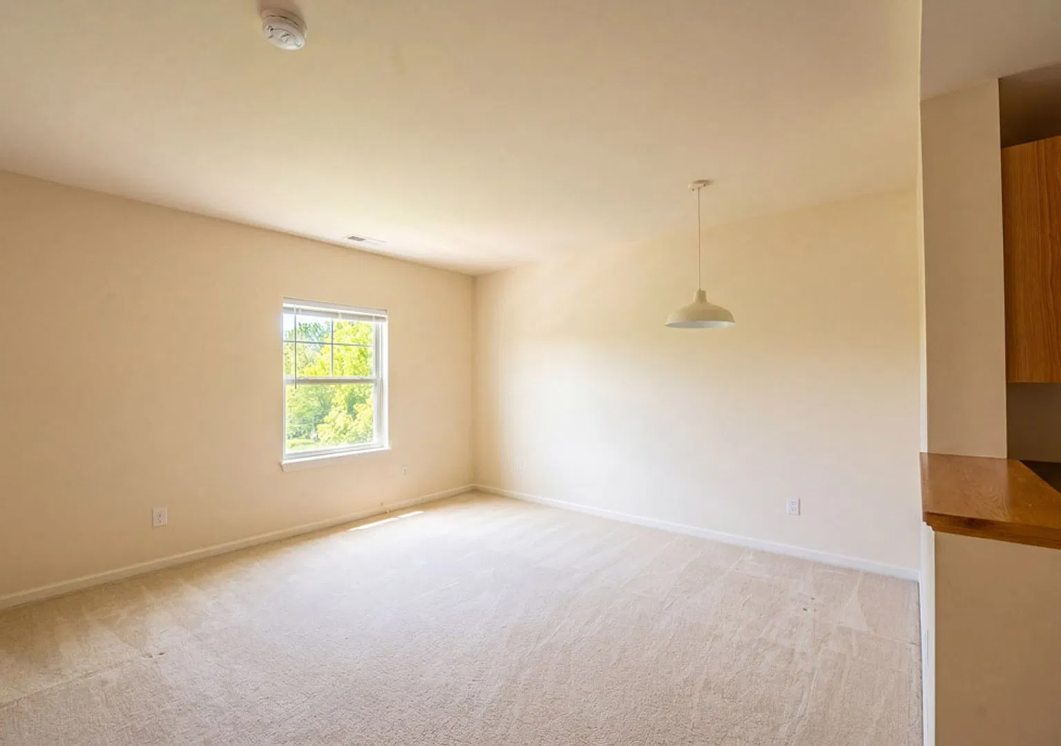 1 Bed 1 Bath Close To Downtown Freeport! — Photo 4
