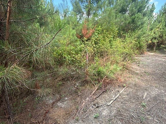 2nd image of Mpf 2 State Road S Road Mpf 2 #28-31