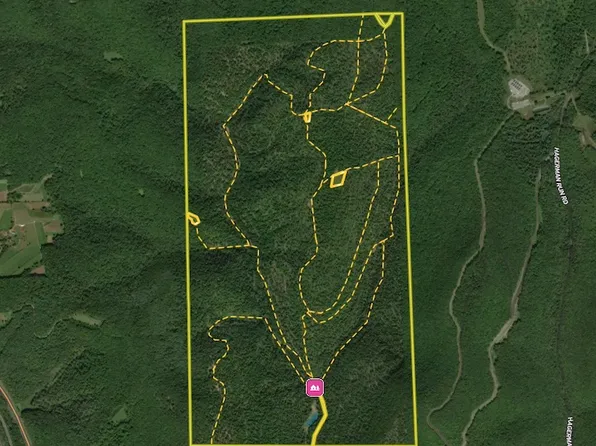 1485 Four Mile Rd, Trout Run, PA 17771
