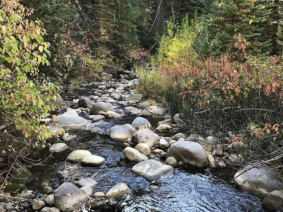 Our Creek 