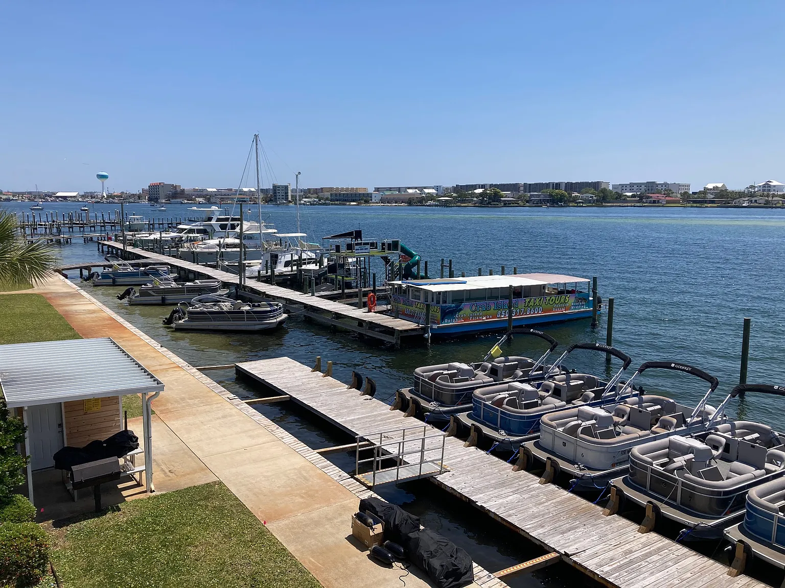 1 bed, $1,235 — Photo 4