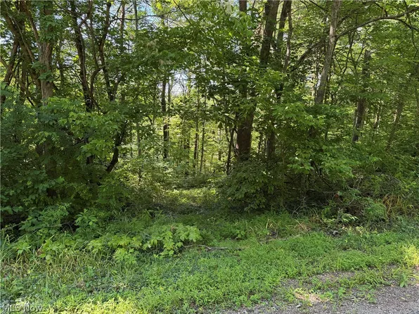 0 Fisher Ridge Rd Tract 6, Fleming, OH 45729