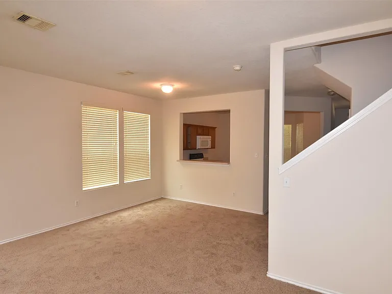 16807 Mammoth Springs Dr — Photo 28