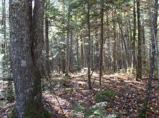 6 Two Lakes Dr, Machias, ME 04654