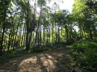 Ripple Run Rd, Caldwell, OH 43724