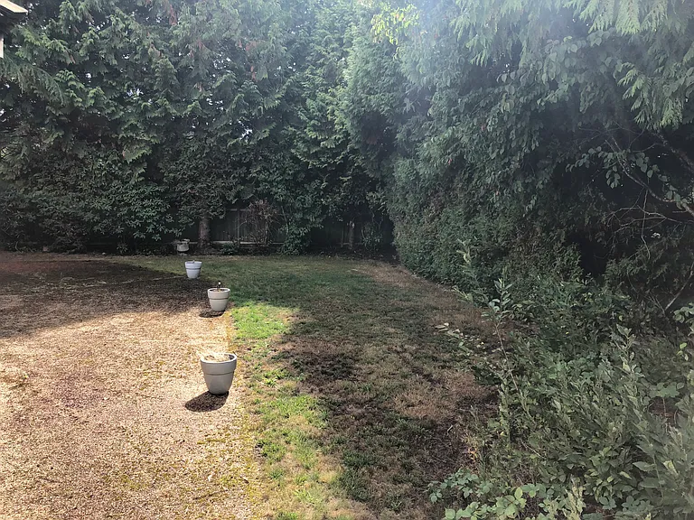 Penny Ln — Photo 7
