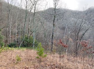 C 1 Georgianna Rd, Bryson City, NC 28713