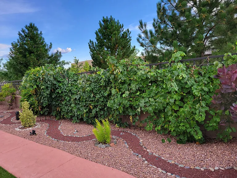 4680 Hojas Verdes — Photo 42
