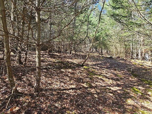 4th image of 0 First Fork Rd