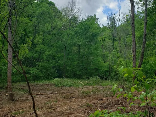 397 Moore Hollow Rd Lot 0, Newport, TN 37821