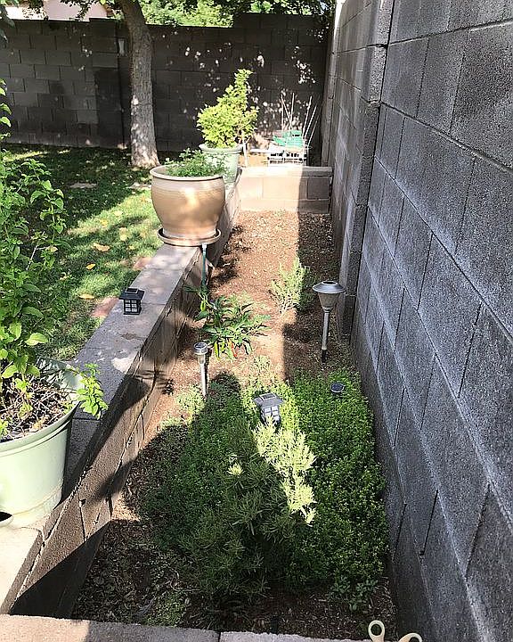 2nd image of 11614 W Columbine Dr