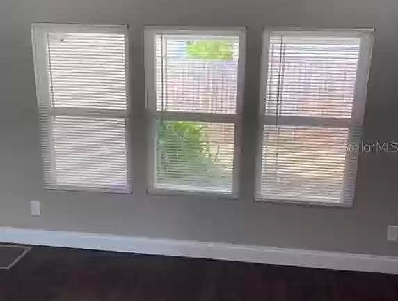 Living Room Windows
