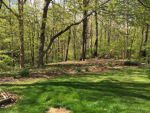 Wooded backyard 