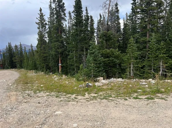 134 El Lobo Ln, Fairplay, CO 80440