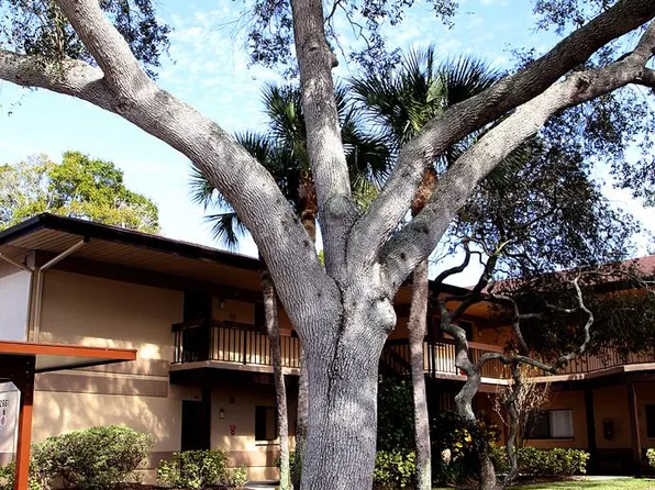 2661 Sabal Springs Cir, Clearwater, FL 33761