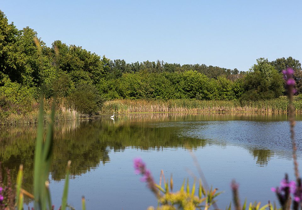 West I 5771 E Town Dr Hudsonville MI Zillow