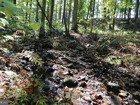 5th image of 200 Rock Creek Trl